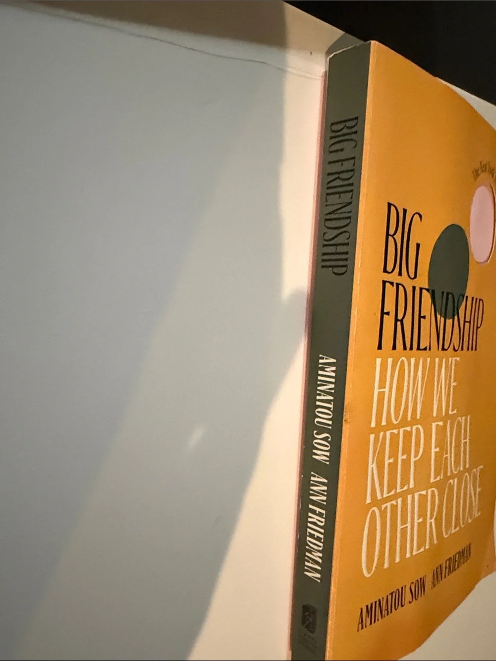 Big friendship - how we keep each other close by Aminatou Soe and Ann Friedman